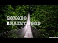 Bonobo- Black Sands (Rainymood Mix) 