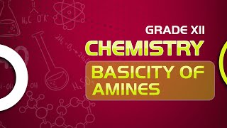 CBSE Grade 12 Chemistry Basicity of Amines | Unveiling the Secret Order of Basicity in Amines