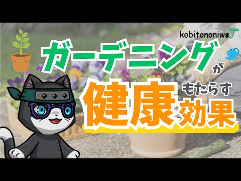なぜ庭でランナーインゲンを栽培するのでしょうか？この食用および観賞用の植物についてすべてを知る  庭園