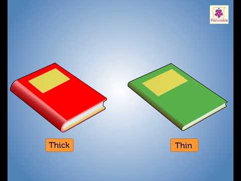 Thick and Thin | Learn Opposites | Mathematics Grade 1 | Periwinkle