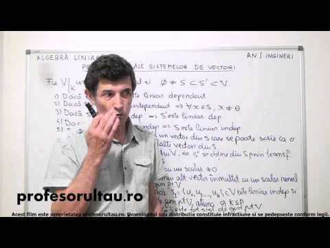 23   Proprietati ale sistemelor de vectori - profesorultau.ro