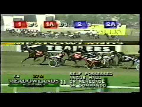 Self Possessed - 1999 Hambletonian