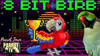 8 Bit Birb | Chiptune Retro Pixel Gaming Music for Birds | Parrot TV for Your Bird Room👾