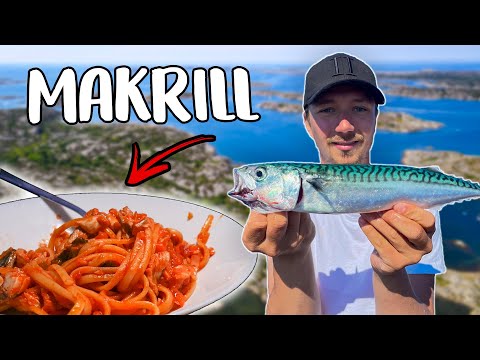 Catch & Cook Mackerel - SWEDISH SEA FISHING | Team Galant