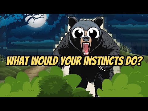 Surviving the Dark Woods: Fight or Flight?