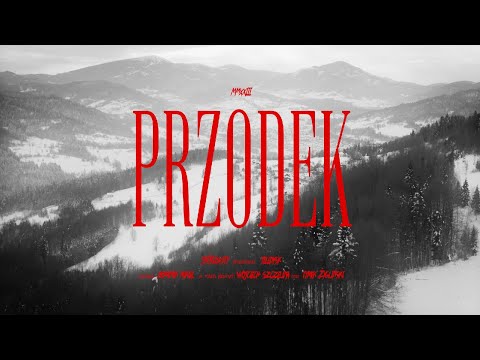 Skóra - Przodek (prod. ONE)