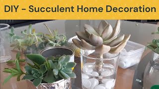 Succulent Arrangements DIY