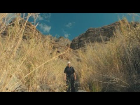 Por si no sabes lo que quieres.