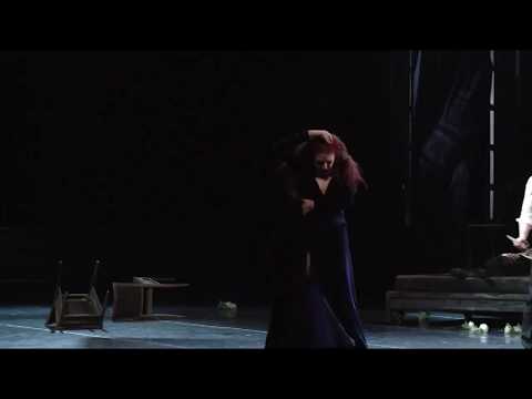 Leo Mujić - Gospoda Glembajevi