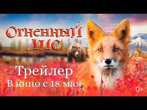 Трейлеры Огненный лис