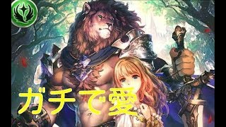 現環境でそこそこ通用するNエルフ！