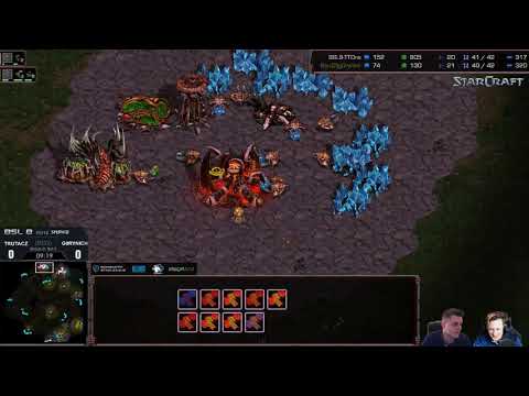 BSL8 RO16 - Group D - trutaCz vs g0rynich - ZvZ - bo3 - Starcraft Broodwar !