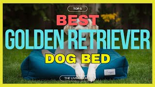 🔥 Best Dog Bed for Golden Retriever in 2024 ☑️ TOP 5 ☑️
