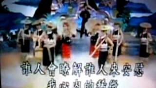 鴨印翻唱 浪子的心情