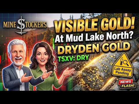 🪙 VISIBLE GOLD DISCOVERED! 💎 Is 𝔻𝕣𝕪𝕕𝕖𝕟 𝔾𝕠𝕝𝕕 ($DRY) Ready to 10X? 🚀 | Mine$tockers NewsFlash ⚡