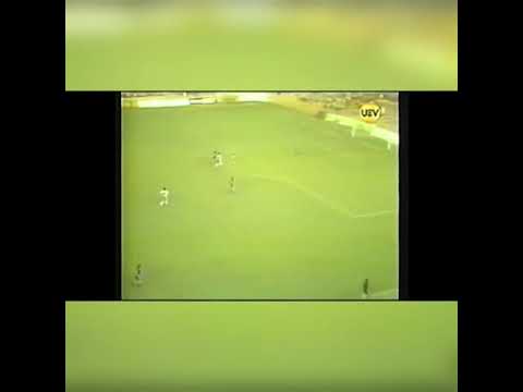 📺 Algunos Goles de Jorge 'Mortero" Aravena ⚽️🇨🇱