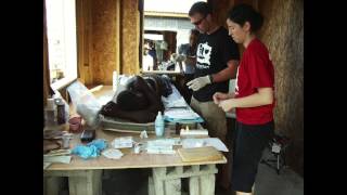 Surely We Can Change