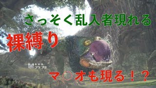 【4人実況】プケプケプケプケ #2 【裸モンハン】