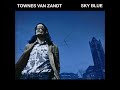 Townes Van Zandt - Blue Ridge Mountain Blues (Smoky Version)