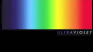 Owl City - Up All Night [Leaked Official Audio HQ] + Lyrics