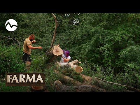 FiFqa privalil strom! - FARMA