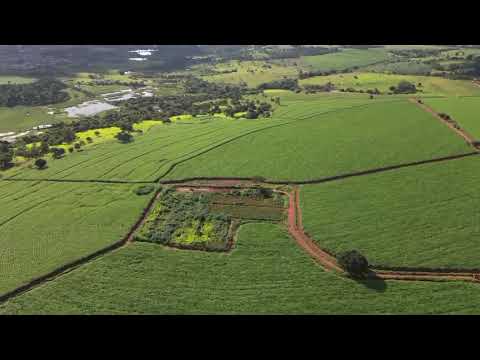 LINDA FAZENDA DE 48,20 ALQUEIRES NA REGIÃO DE INHUMAS GO. Você não vai ver nada igual. 