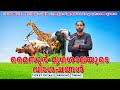 Mysore Zoo Details Mysore Zoo Malayalam Oldest And Best Zoo In India A Day At Mysore Zoo 2024