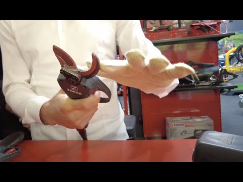 ZANON scissors with cut-resistant glove.