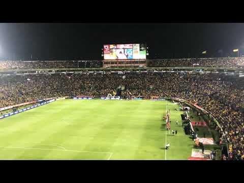 "Tigres vs América recibimiento jornada 6" Barra: Libres y Lokos &bull; Club: Tigres
