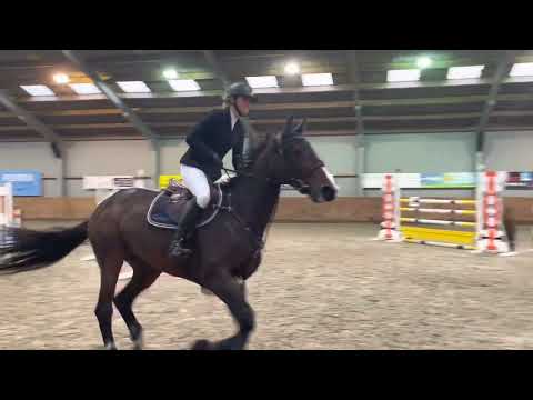 Wadro’s Jerina By Zirocco Blue winning the 1.35m Sonnega