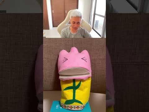 園芸 フォスターのチューリップ