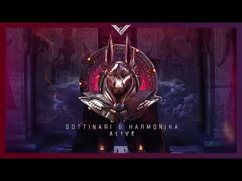 Gottinari & Harmonika - Alive