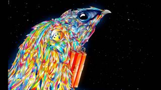 Griz - Feel the Love ✦║Fυהk Nʌtiøη║✦