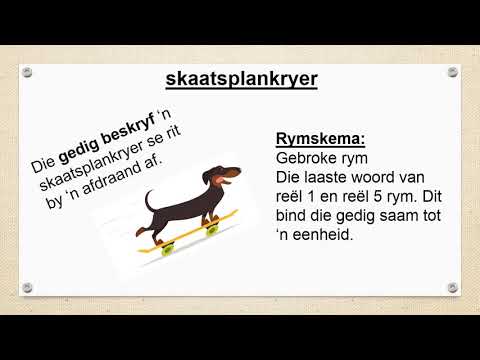 AFRIKAANS GRAAD 9: 15 Mei 2020 - periode 1 (15091)