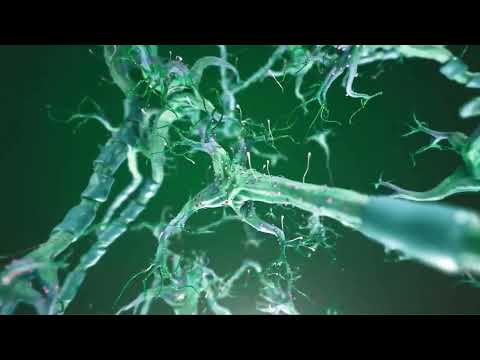 YOUNGDREW - NIMIC (Official Visual Video)