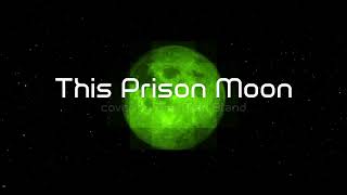 Gary Numan's This Prison Moon, My Cover Version