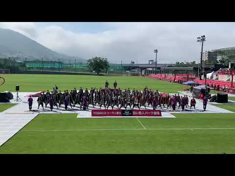 商学科 小樽商科大学"翔楽舞" 2019年「四獣奏」YOSAKOIソーラン祭り 白い恋人パーク会場
