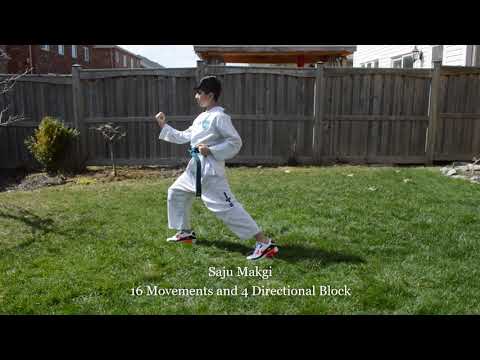 Taekwon-do White Belt 2nd Pattern (Saju Makgi)