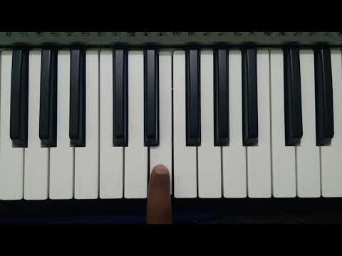 download lagu mp3 mp4 Cheri Cheri Lady Piano Notes, download lagu Cheri Cheri Lady Piano Notes gratis, unduh video klip Cheri Cheri Lady Piano Notes