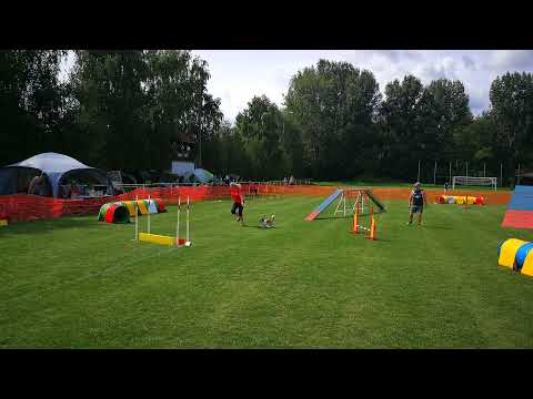 IX. Szigetköz Kupa - Lia 1. futam Agility A1