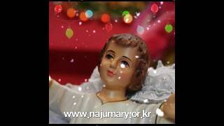 Holy Christmas and Happy New Year