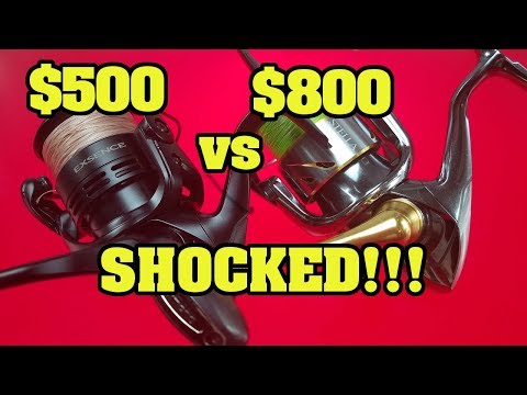 Shimano Stella vs Shimano Exsence how good are Shimano's best? Comparison and review