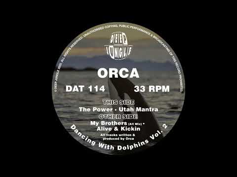 [DAT114] Orca - The Power