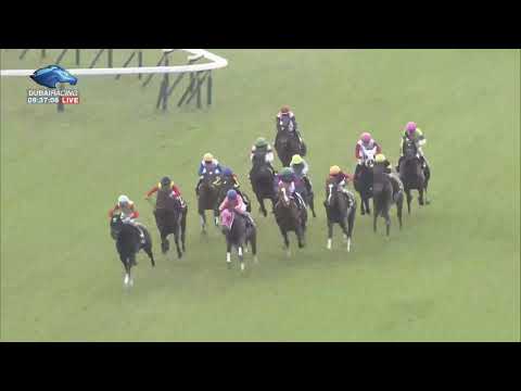 2019.11.17 Shumeigiku Sho (JPN) - Egremni