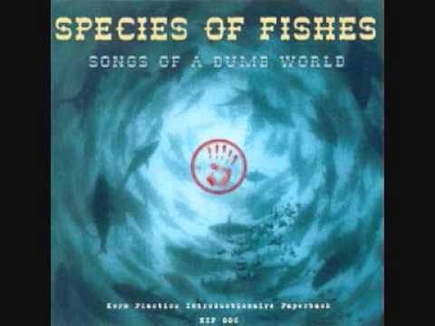 Species Of Fishes - Numb World