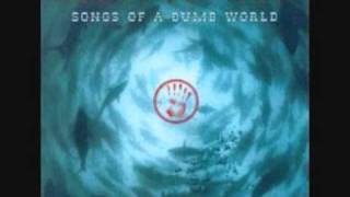 Species Of Fishes - Numb World