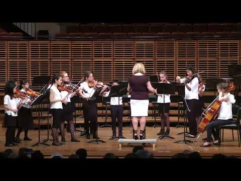 Sydney Youth Orchestra BRAHMS Group End-Of-Year Performance 2017