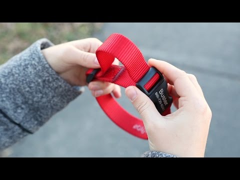 Youly Dog Collar