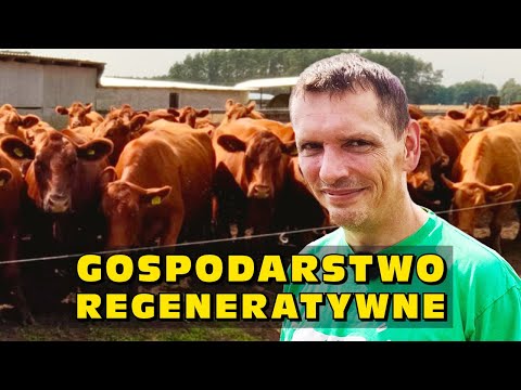 Ramsey United and Lubuskie Angusowo