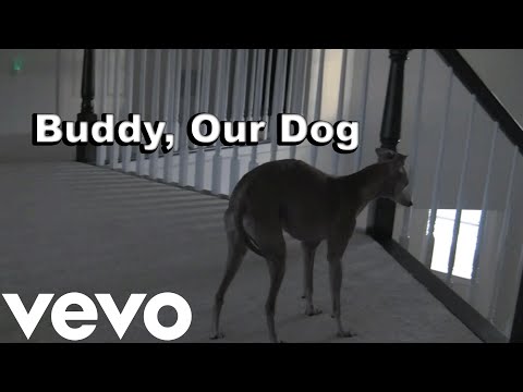 Buddy, Our Dog (Official Music Video)